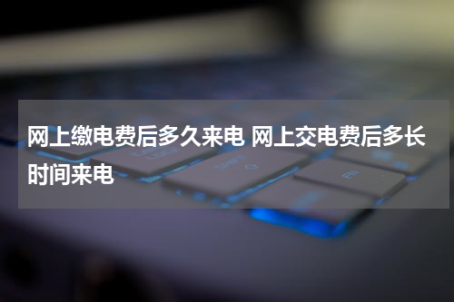 网上缴电费后多久来电 网上交电费后多长时间来电