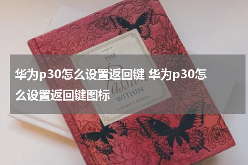 华为p30怎么设置返回键 华为p30怎么设置返回键图标