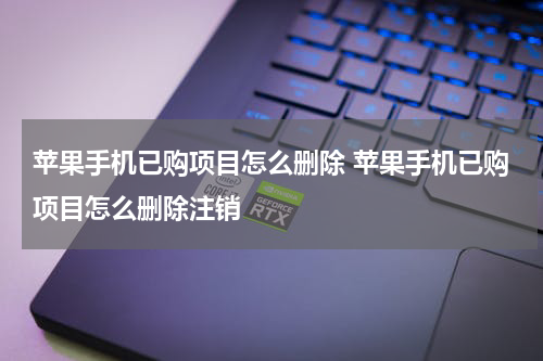 苹果手机已购项目怎么删除 苹果手机已购项目怎么删除注销