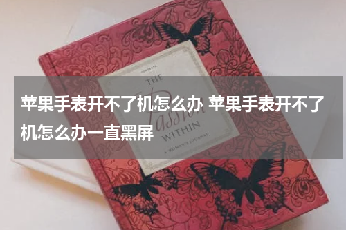 苹果手表开不了机怎么办 苹果手表开不了机怎么办一直黑屏