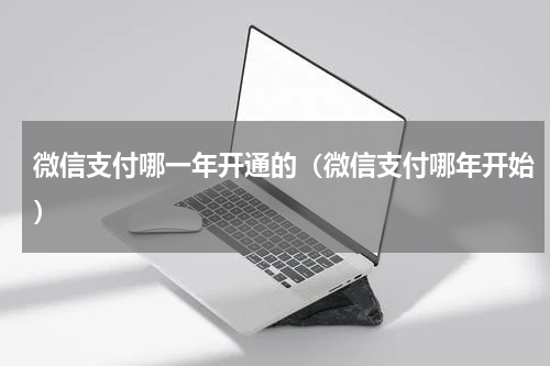微信支付哪一年开通的（微信支付哪年开始）