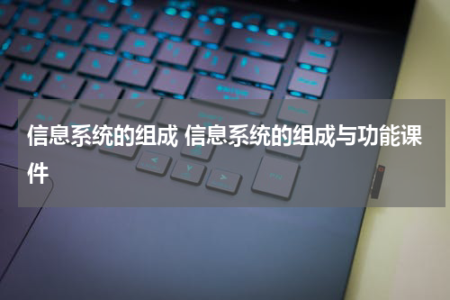 信息系统的组成 信息系统的组成与功能课件