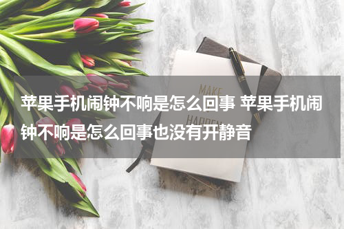 苹果手机闹钟不响是怎么回事 苹果手机闹钟不响是怎么回事也没有开静音