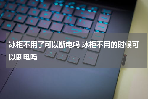 冰柜不用了可以断电吗 冰柜不用的时候可以断电吗