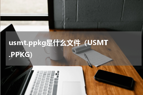 usmt.ppkg是什么文件（USMT.PPKG）
