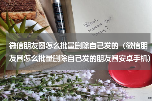微信朋友圈怎么批量删除自己发的（微信朋友圈怎么批量删除自己发的朋友圈安卓手机）