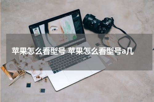 苹果怎么看型号 苹果怎么看型号a几