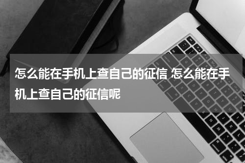 怎么能在手机上查自己的征信 怎么能在手机上查自己的征信呢