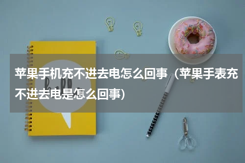 苹果手机充不进去电怎么回事（苹果手表充不进去电是怎么回事）