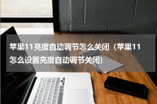 苹果11亮度自动调节怎么关闭（苹果11怎么设置亮度自动调节关闭）