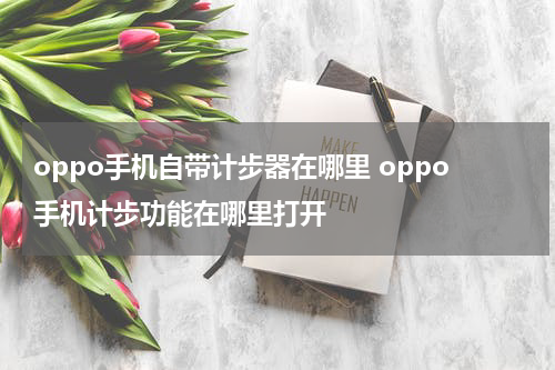 oppo手机自带计步器在哪里 oppo手机计步功能在哪里打开