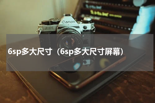 6sp多大尺寸（6sp多大尺寸屏幕）