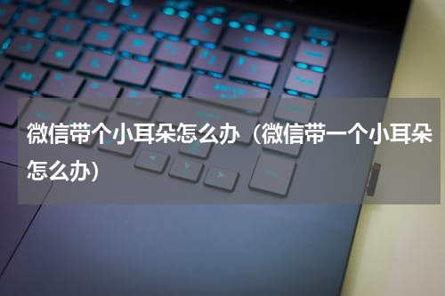 微信带个小耳朵怎么办（微信带一个小耳朵怎么办）