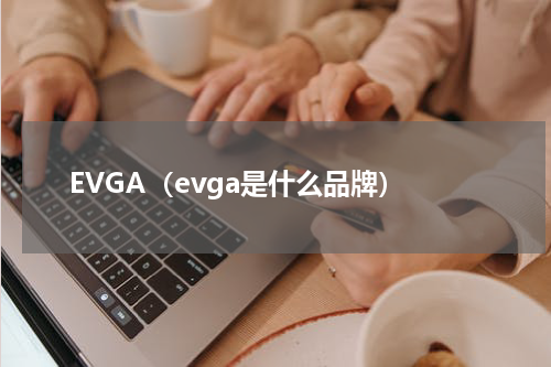 EVGA（evga是什么品牌）