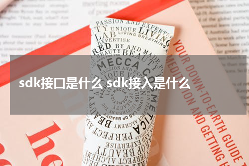 sdk接口是什么 sdk接入是什么