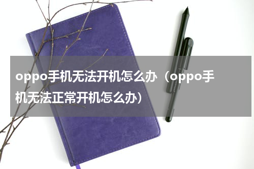 oppo手机无法开机怎么办（oppo手机无法正常开机怎么办）
