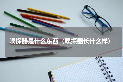 嗅探器是什么东西（嗅探器长什么样）