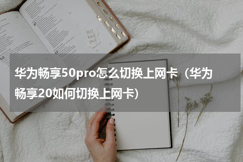 华为畅享50pro怎么切换上网卡（华为畅享20如何切换上网卡）
