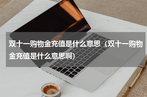 双十一购物金充值是什么意思（双十一购物金充值是什么意思啊）