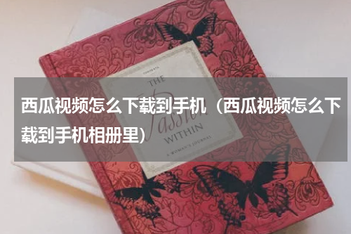 西瓜视频怎么下载到手机（西瓜视频怎么下载到手机相册里）