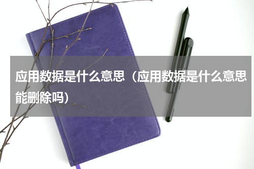 应用数据是什么意思（应用数据是什么意思能删除吗）