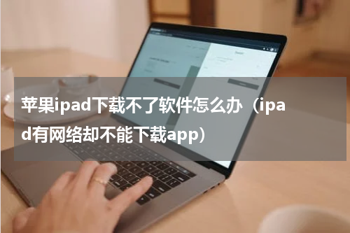 苹果ipad下载不了软件怎么办（ipad有网络却不能下载app）