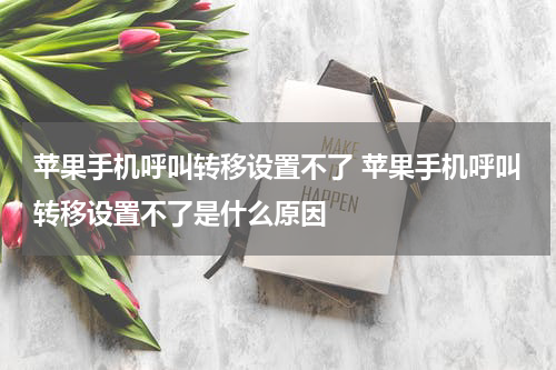 苹果手机呼叫转移设置不了 苹果手机呼叫转移设置不了是什么原因