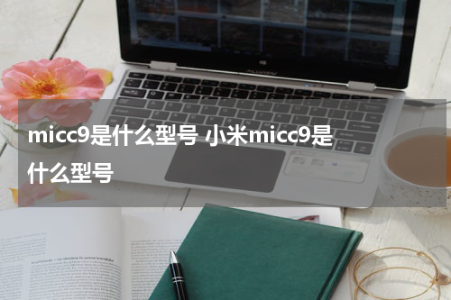micc9是什么型号 小米micc9是什么型号