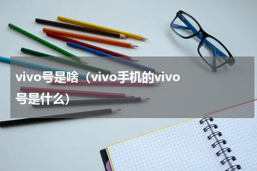 vivo号是啥（vivo手机的vivo号是什么）