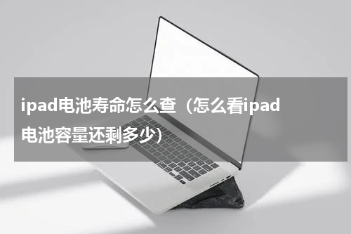 ipad电池寿命怎么查（怎么看ipad电池容量还剩多少）