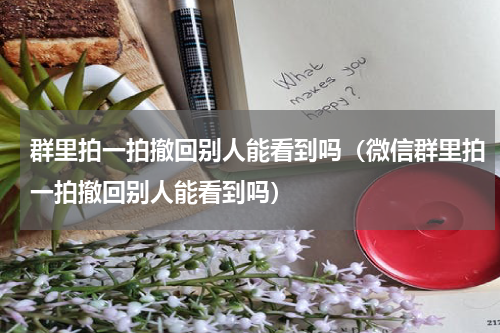 群里拍一拍撤回别人能看到吗（微信群里拍一拍撤回别人能看到吗）