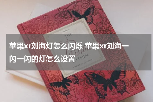 苹果xr刘海灯怎么闪烁 苹果xr刘海一闪一闪的灯怎么设置