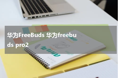 华为FreeBuds 华为freebuds pro2