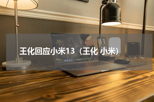 王化回应小米13（王化 小米）