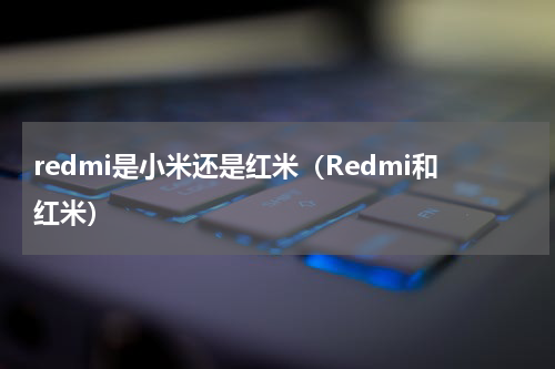 redmi是小米还是红米（Redmi和红米）