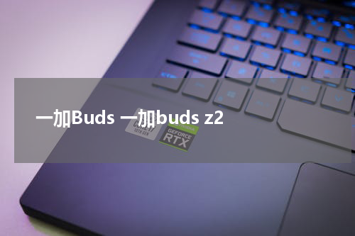 一加Buds 一加buds z2