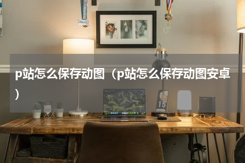 p站怎么保存动图（p站怎么保存动图安卓）