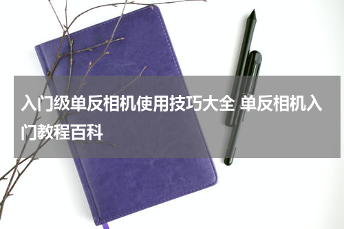 入门级单反相机使用技巧大全 单反相机入门教程百科