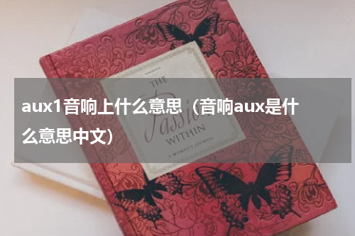aux1音响上什么意思（音响aux是什么意思中文）