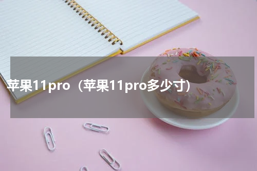 苹果11pro（苹果11pro多少寸）