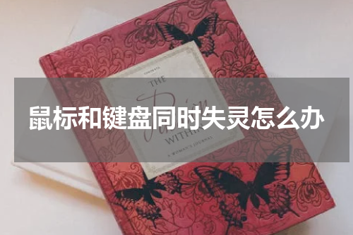 鼠标和键盘同时失灵怎么办