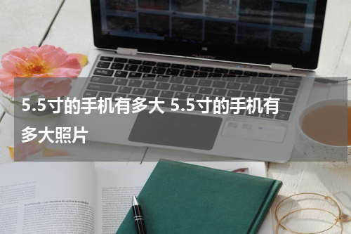 5.5寸的手机有多大 5.5寸的手机有多大照片