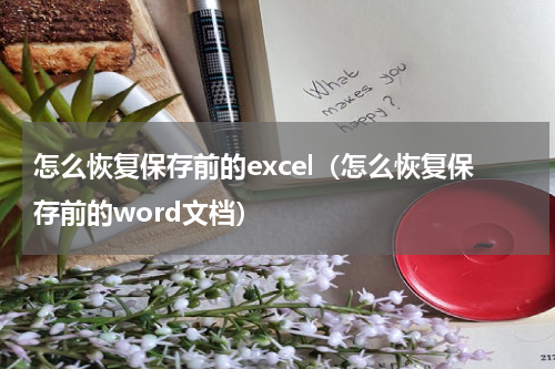 怎么恢复保存前的excel（怎么恢复保存前的word文档）