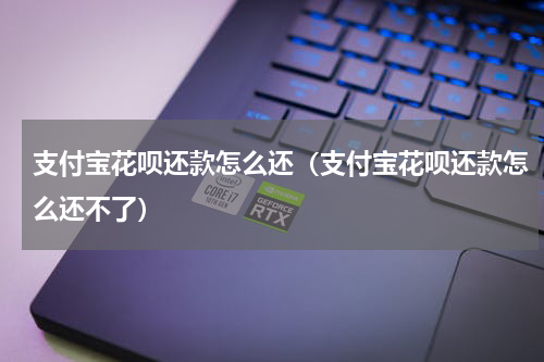 支付宝花呗还款怎么还（支付宝花呗还款怎么还不了）