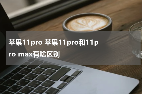 苹果11pro 苹果11pro和11pro max有啥区别