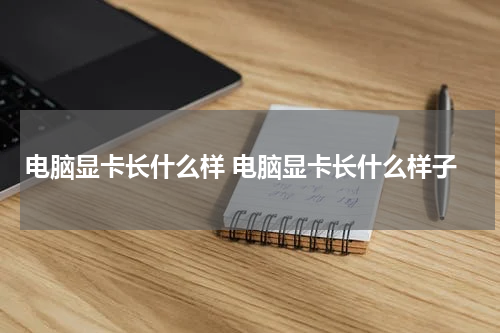 电脑显卡长什么样 电脑显卡长什么样子