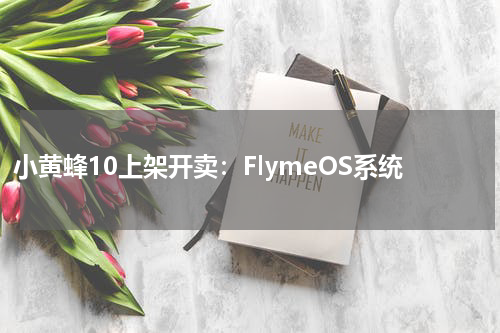 小黄蜂10上架开卖：FlymeOS系统