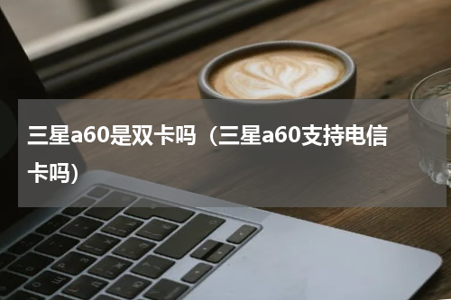 三星a60是双卡吗（三星a60支持电信卡吗）