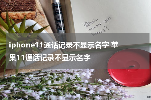 iphone11通话记录不显示名字 苹果11通话记录不显示名字