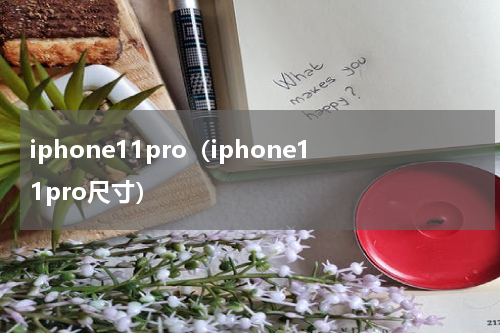 iphone11pro（iphone11pro尺寸）